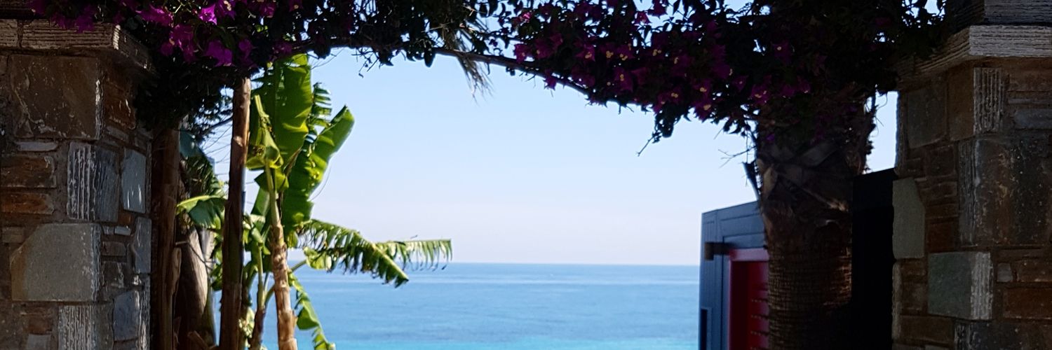 OrganicCaz's profile banner image
