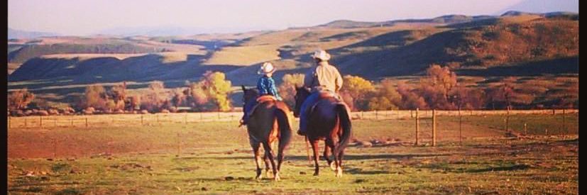 Monica Helton banner