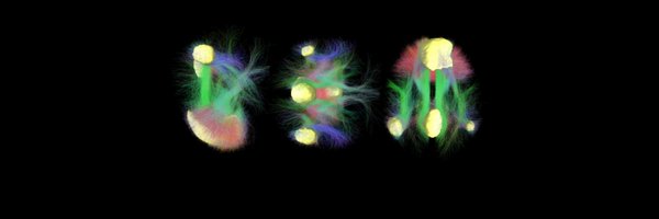 Unthought10 Profile Banner