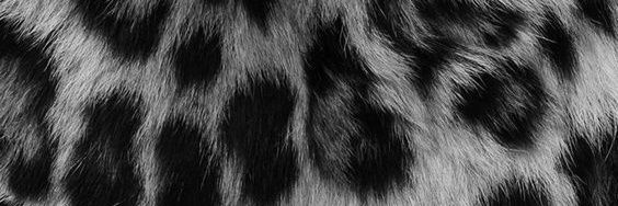 sstarrfiree's profile banner image