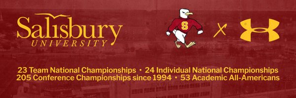 SUSeaGulls Profile Banner