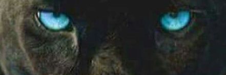 AngelBernard1D's profile banner image