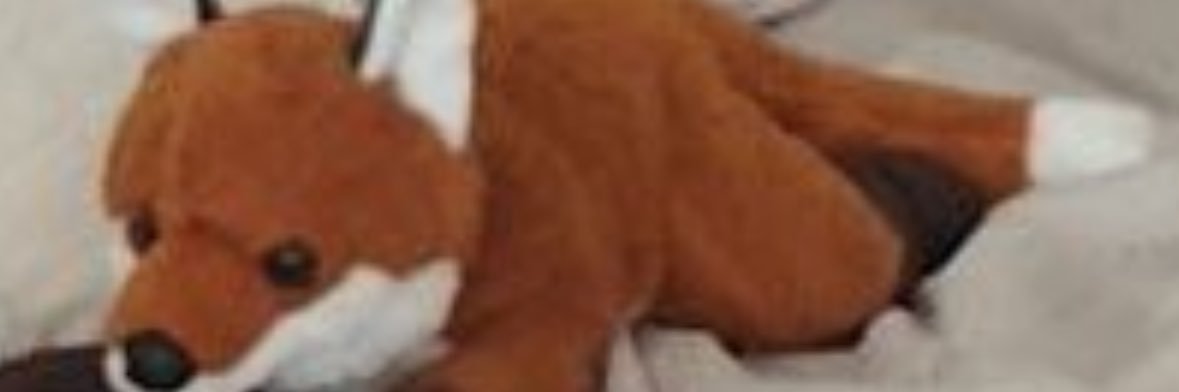 Emmy 💕🐾 banner