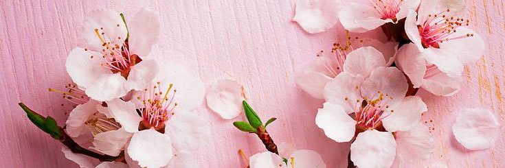 MarinePrr's profile banner image