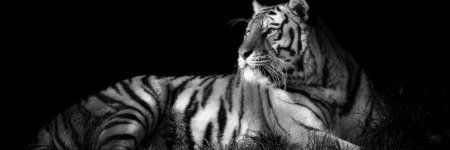 isaonay1's profile banner image