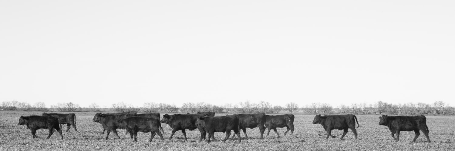 ExuberantTexan's profile banner image