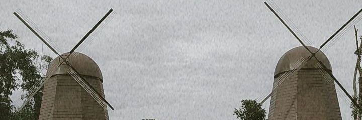 leemonilaa's profile banner image