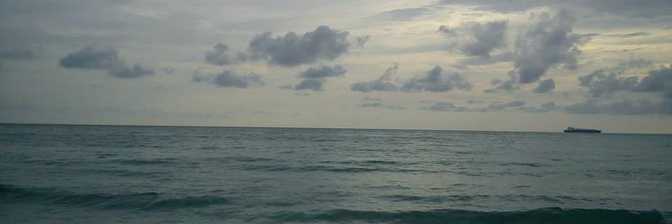 cik_flavonoid's profile banner image