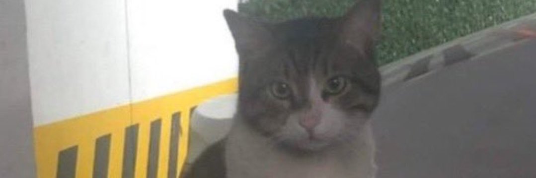 kadrisko's profile banner image
