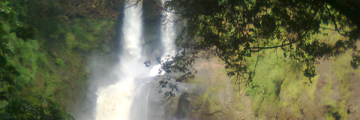 Jkmetto's profile banner image