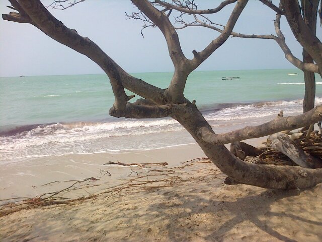 Yoadis Enrique Pinto Ocando banner