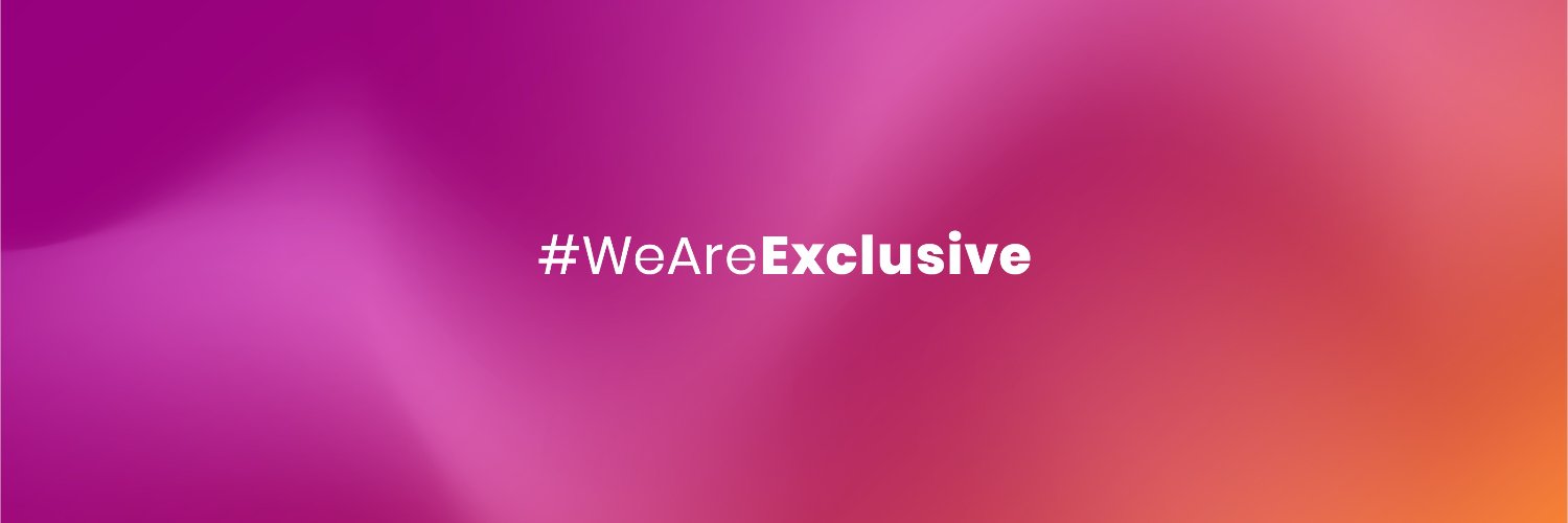 Exclusive NetworksFR banner