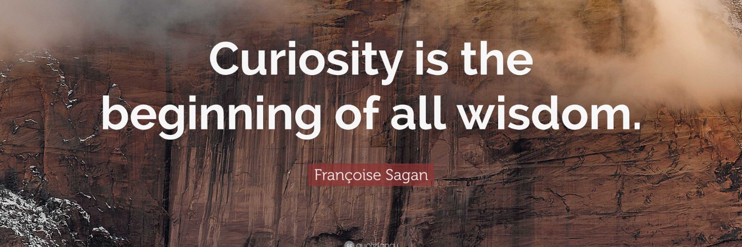 Michael Arpini banner