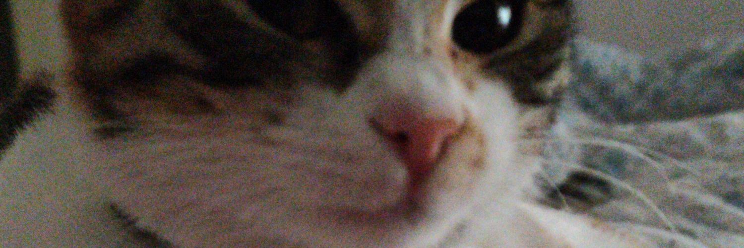 HedwigAbla's profile banner image