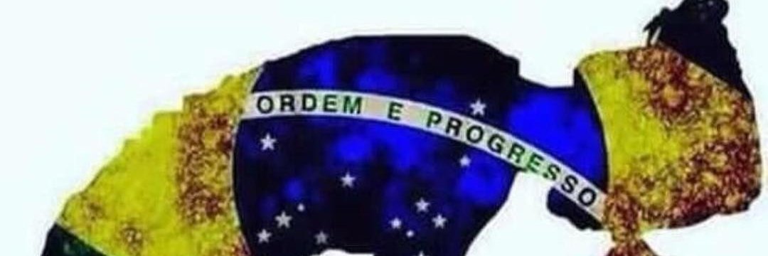 RDeleirib's profile banner image