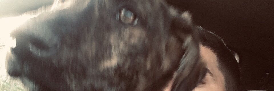 chapo🇪🇸 banner