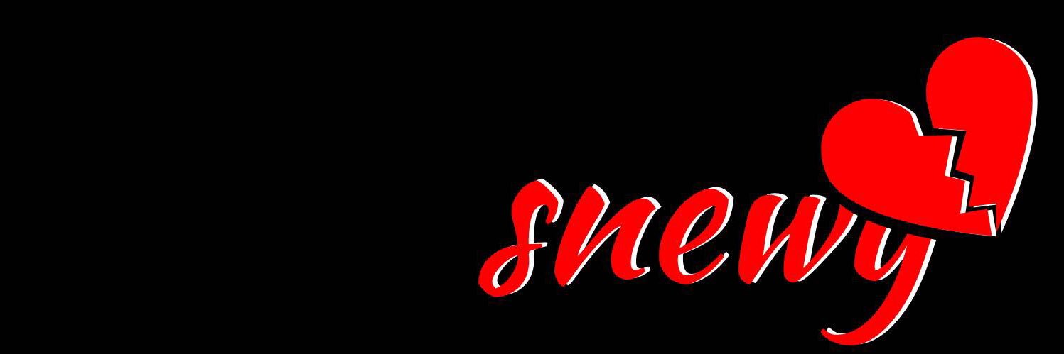 snewy banner