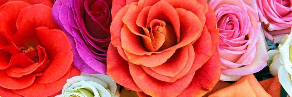 AMAM28869607's profile banner image