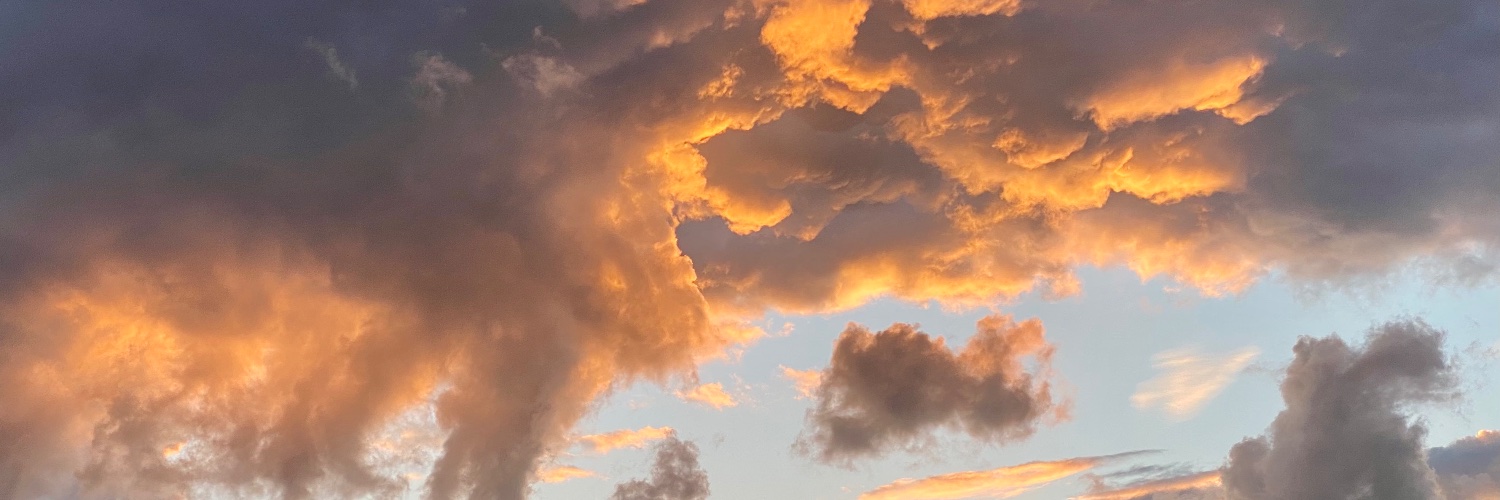 harryalverson's profile banner image