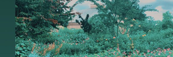 Shannon_Psych Profile Banner