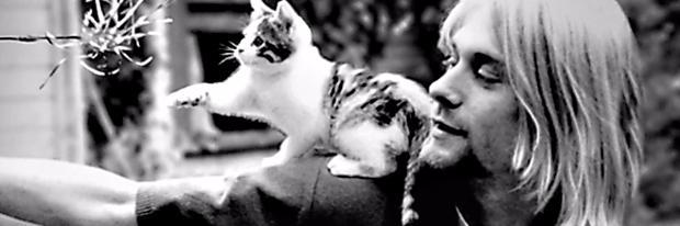Camilohenri's profile banner image