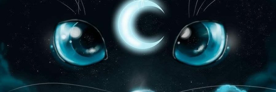 Mel_Gatito's profile banner image