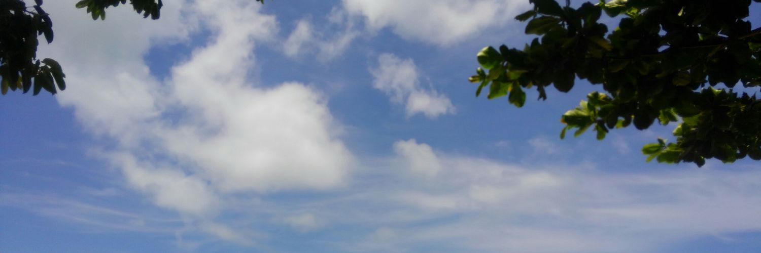 okmasa51's profile banner image