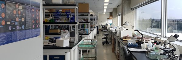 cellimmunoUdeS Profile Banner