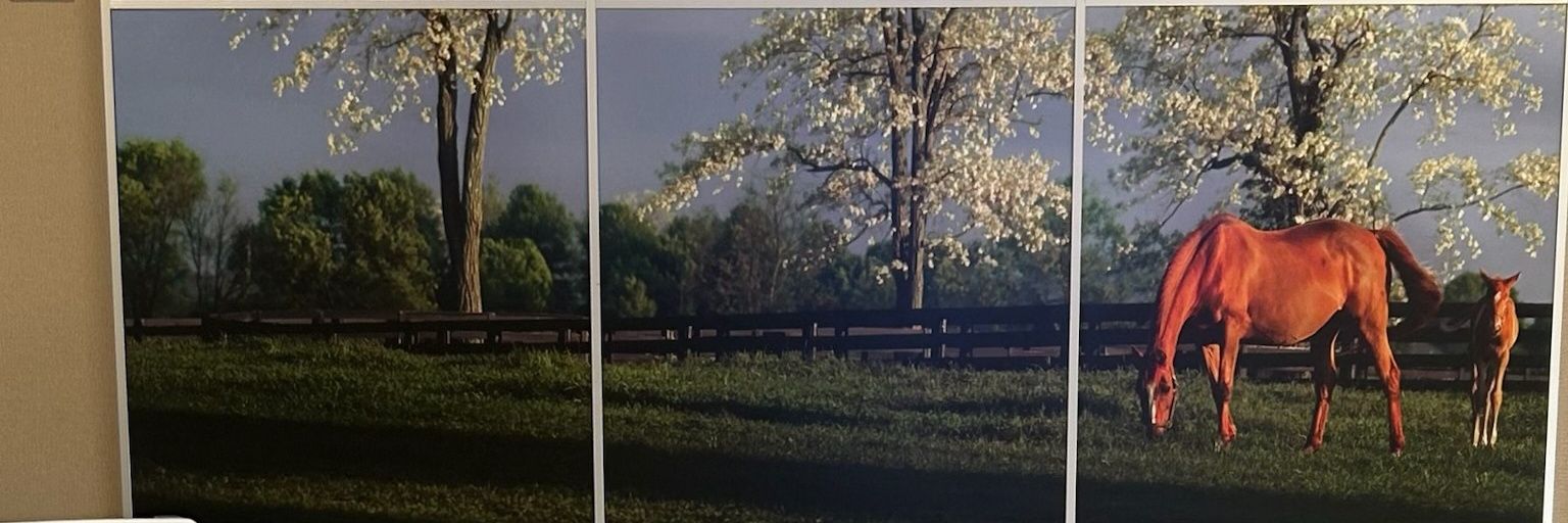 bradinky's profile banner image