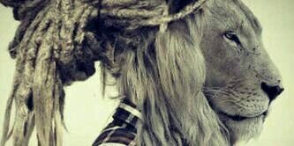MosquitaMan's profile banner image