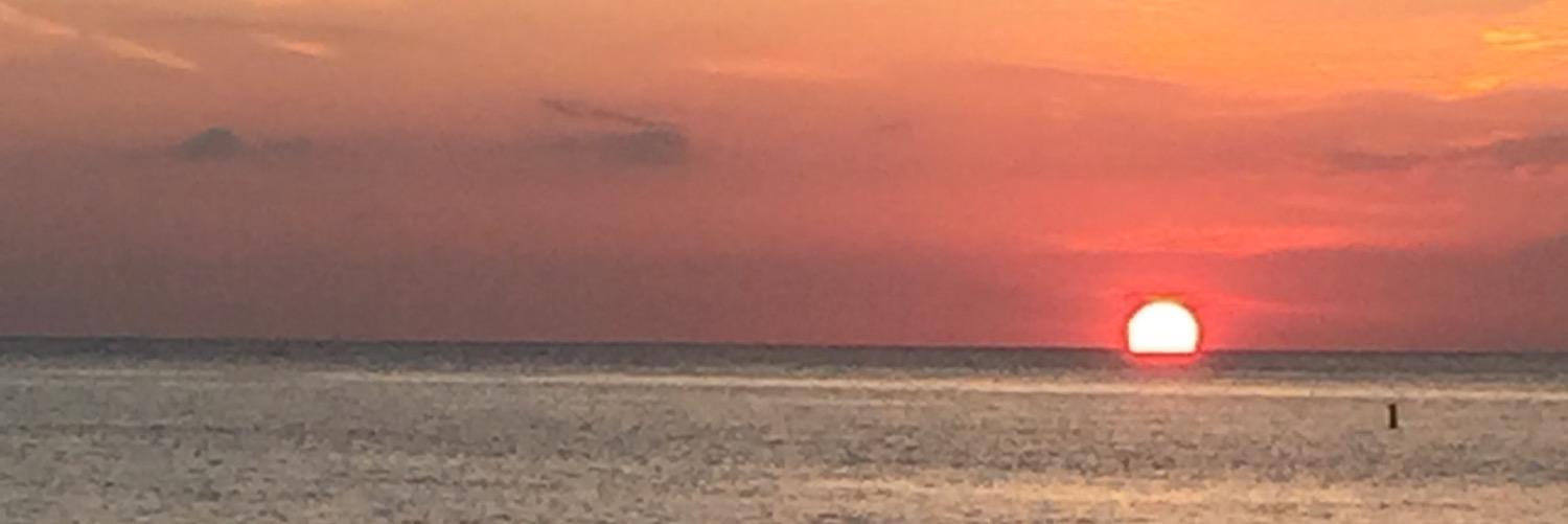 BobbyFalcone's profile banner image