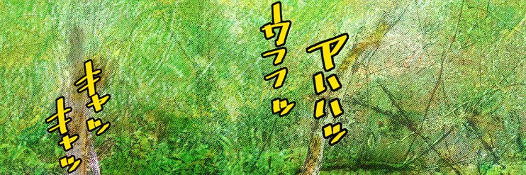 azuki_arch's profile banner image