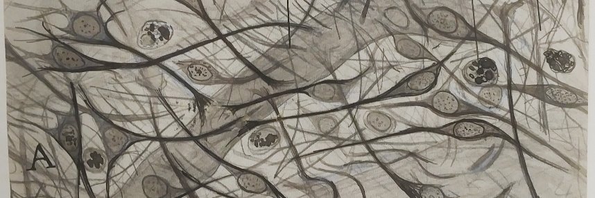 philipp mergenthaler's banner