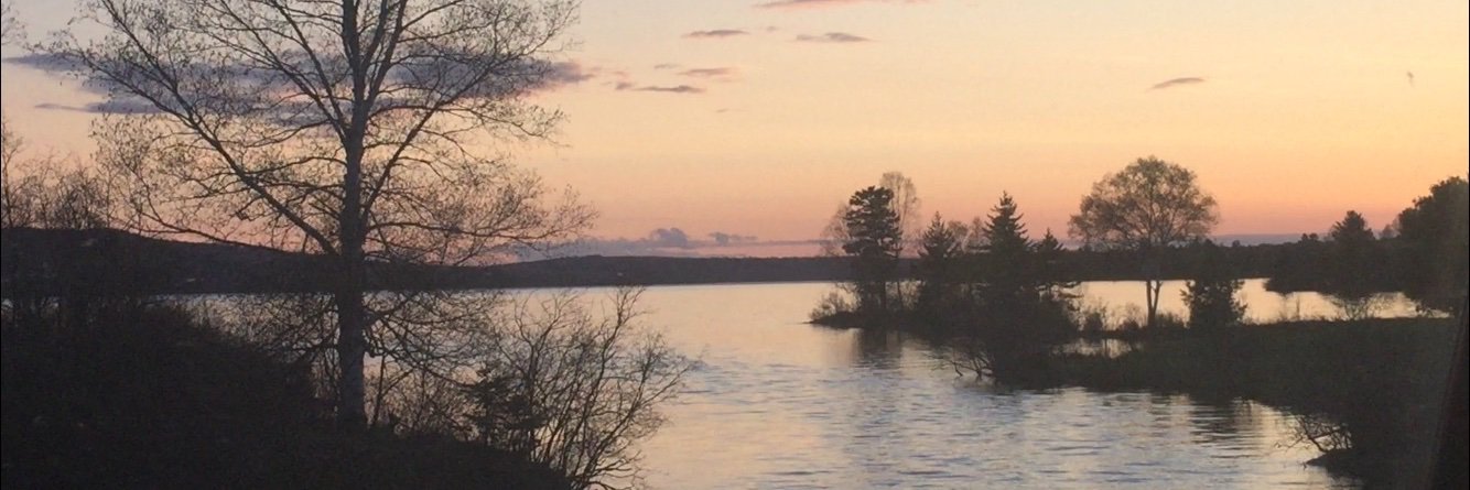 WoodsWizard's profile banner image