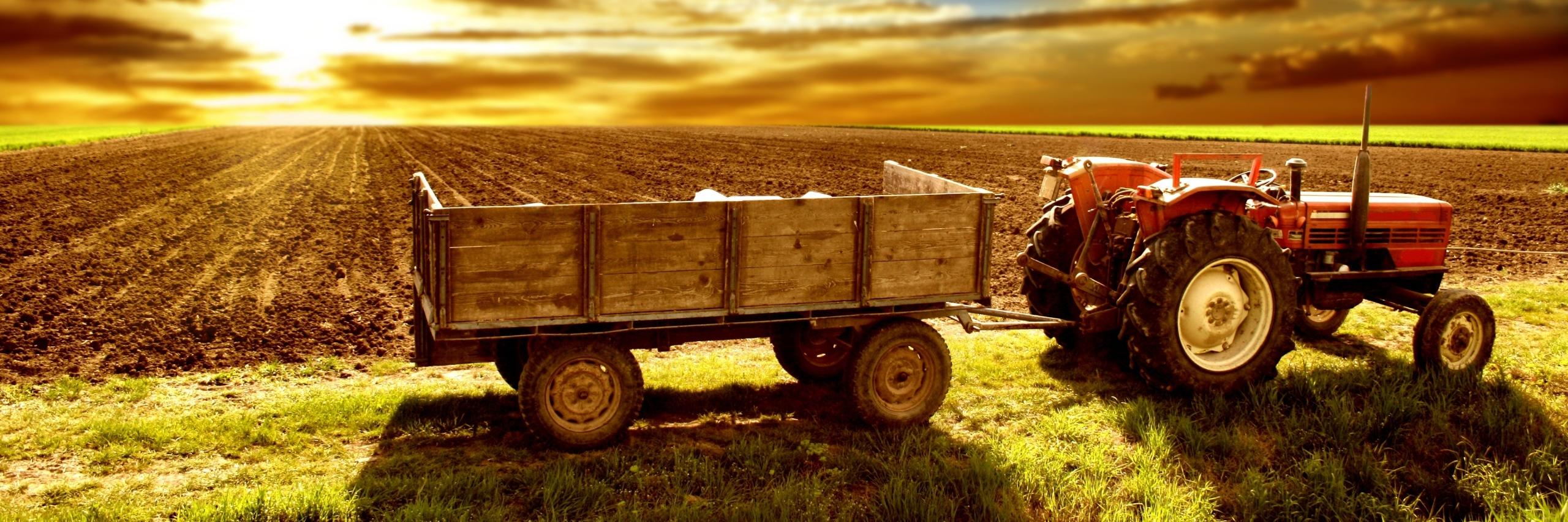 eltranqueron's profile banner image