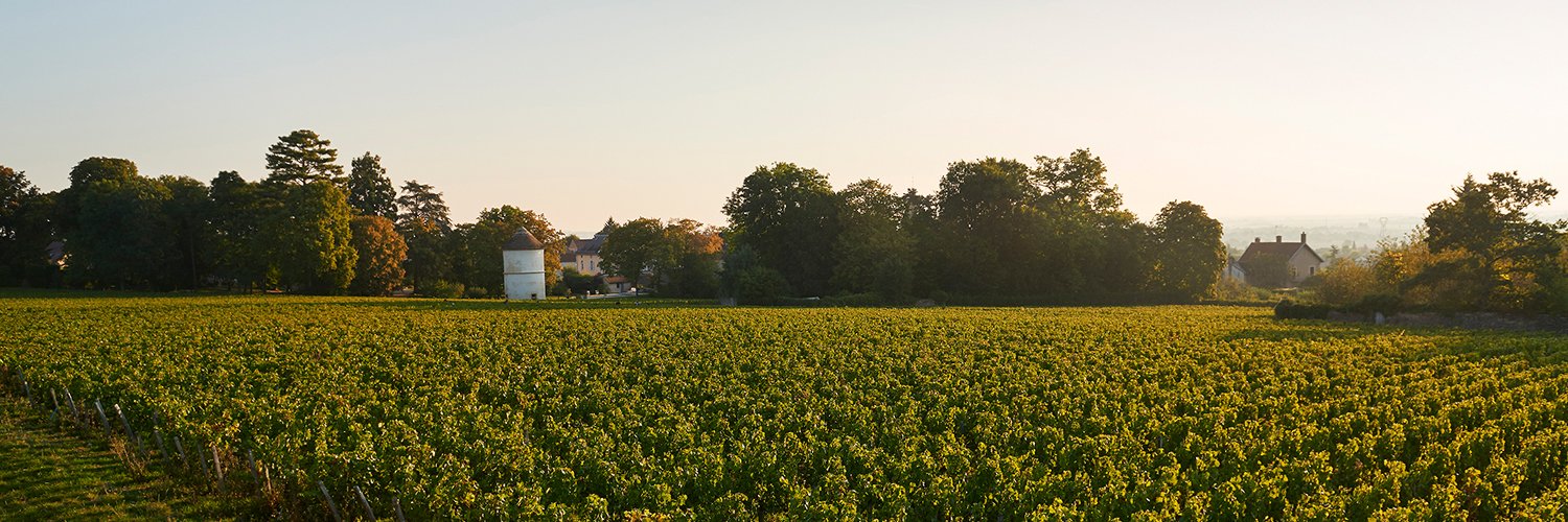 ThormanHunt's profile banner image