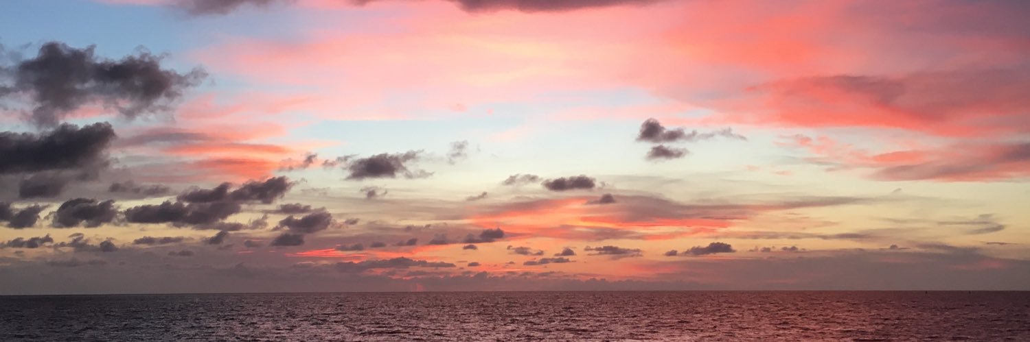 Barbi. banner