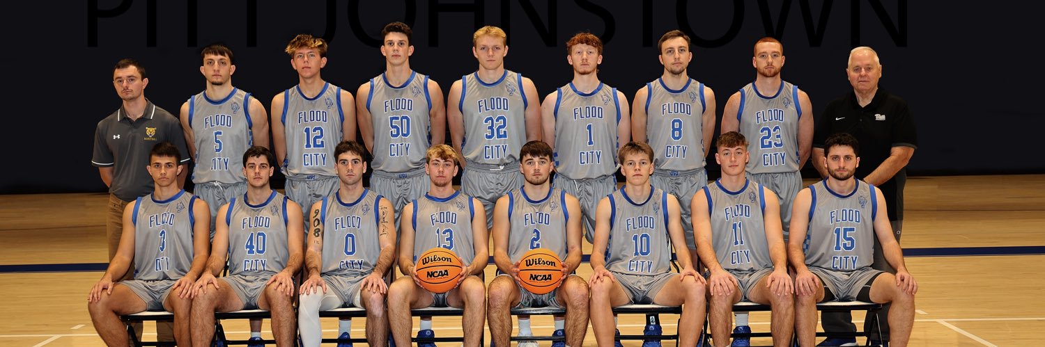 UPJ Men's Basketball's banner