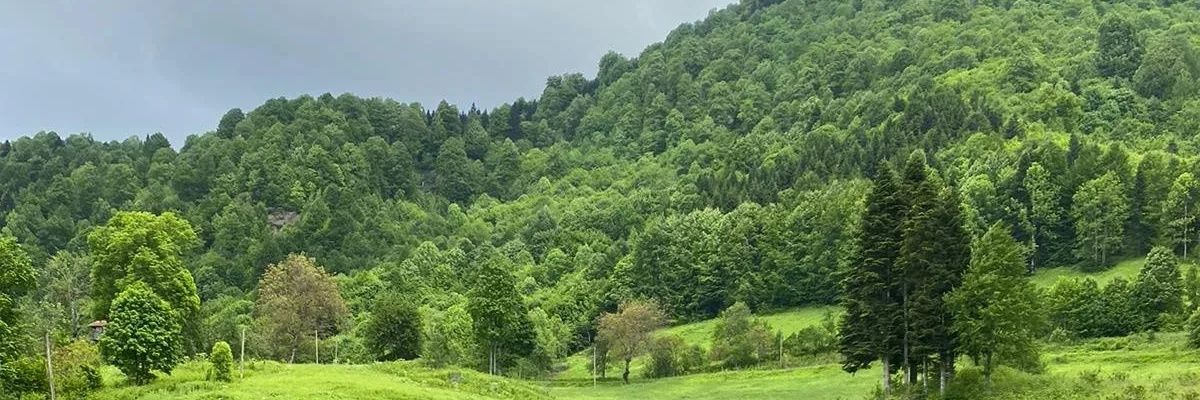 HayriyeImak's profile banner image