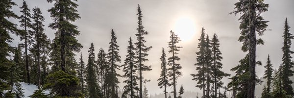 MaharetCompound Profile Banner