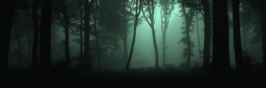 forest_blerta's profile banner image