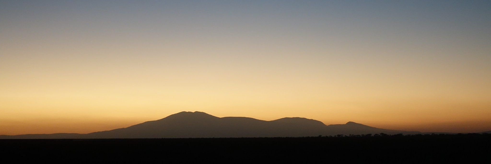 Kaylie Hanson banner