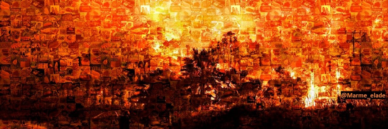 AniLung's profile banner image