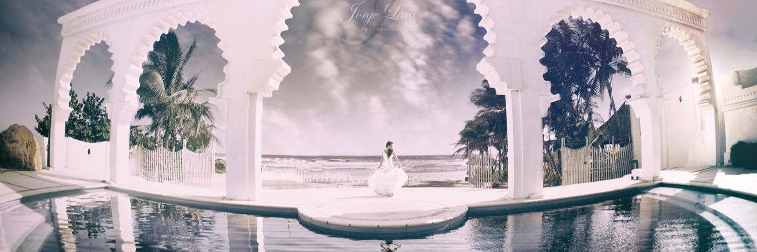 Miss_pollito's profile banner image