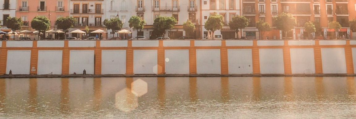 moisanchez97's profile banner image