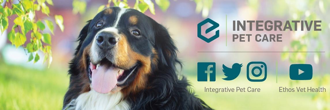 IntegrativePet's profile banner image