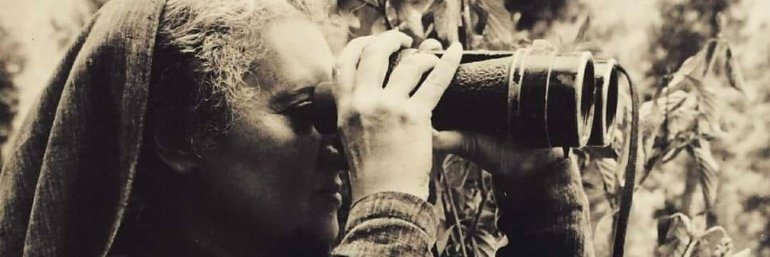 MaximaltQT's profile banner image