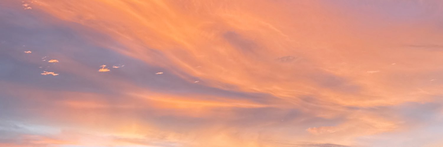 Twitter banner for @LGuerr13