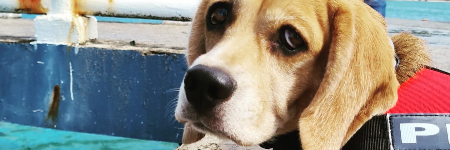 Billyr2215's profile banner image