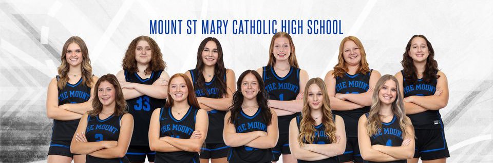 MSM Girls Basketball banner